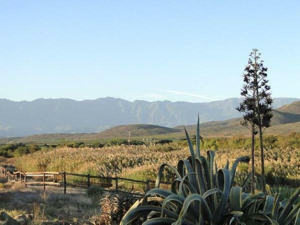 Tanagra Wine & Guestfarm Διαμέρισμα McGregor Εξωτερικό φωτογραφία