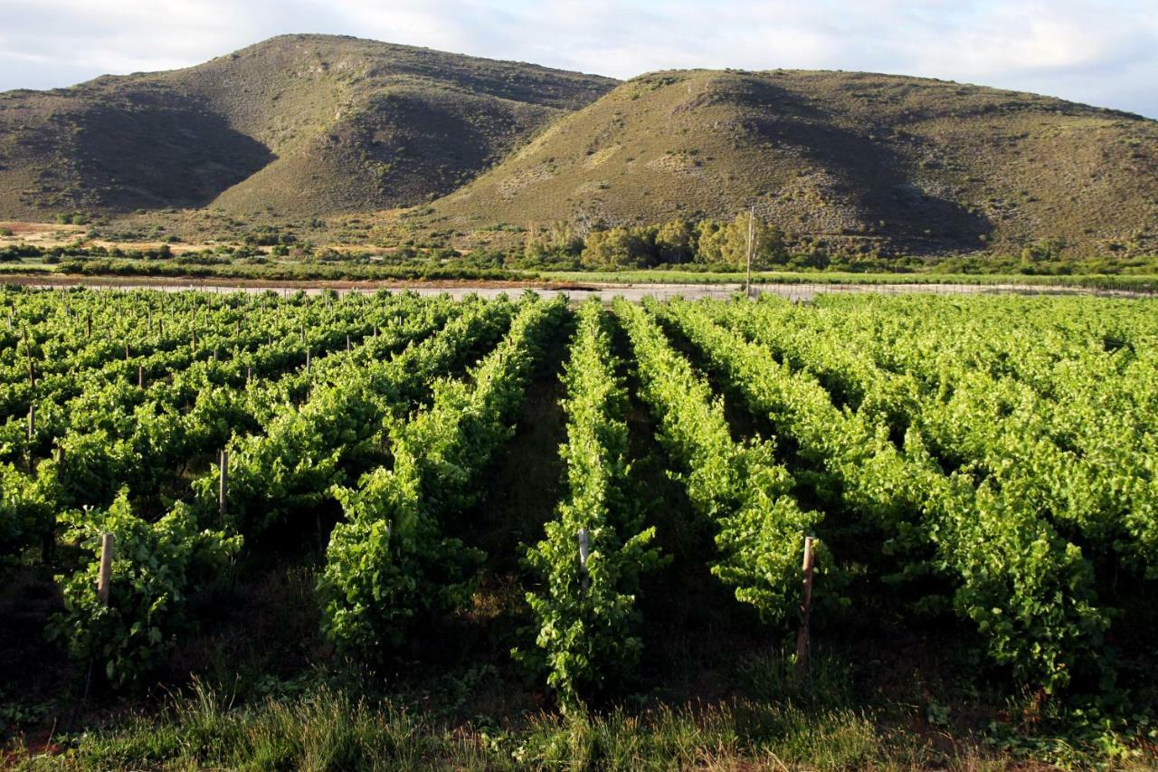 Tanagra Wine & Guestfarm Διαμέρισμα McGregor Εξωτερικό φωτογραφία